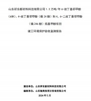 山東祥東新材料科技有限公司1.2萬噸/年6-叔丁基鄰甲(60K)、4-叔丁基鄰甲酚(偏 24 酚)和 4，6-二叔丁基鄰甲酚(偏 246 酚)烷基甲酚項目竣工環(huán)境保護驗收監(jiān)測報告